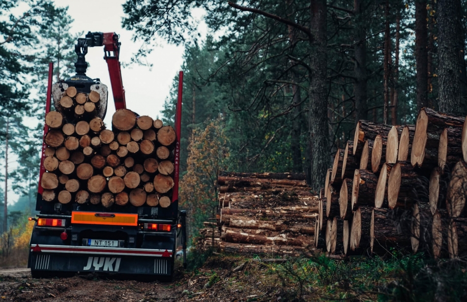 Medienos pervežimas | Apvalios medienos pervežimas, rąstų pervežimas | Medienos gabenimas ir pervežimas | Medienos transportavimas ir pervežimas | www.zaiboratai.lt |