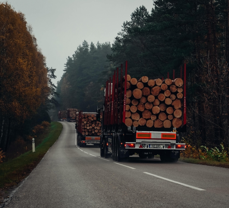 Medienos pervežimas su miškovežiais | Apvalios medienos pervežimas su miškovežiais | Rąstų pervežimas su miškovežiais | Medienos gabenimas ir pervežimas su miškovežiais | Medienos transportavimas ir pervežimas su miškovežiais | www.zaiboratai.lt |